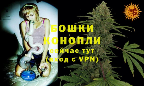твердый Коряжма
