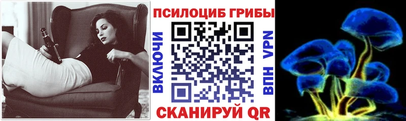 Псилоцибиновые грибы Psilocybine cubensis  Порхов 